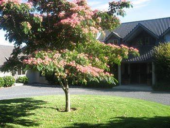 Heron Hill Hotell Kerikeri Exteriör bild
